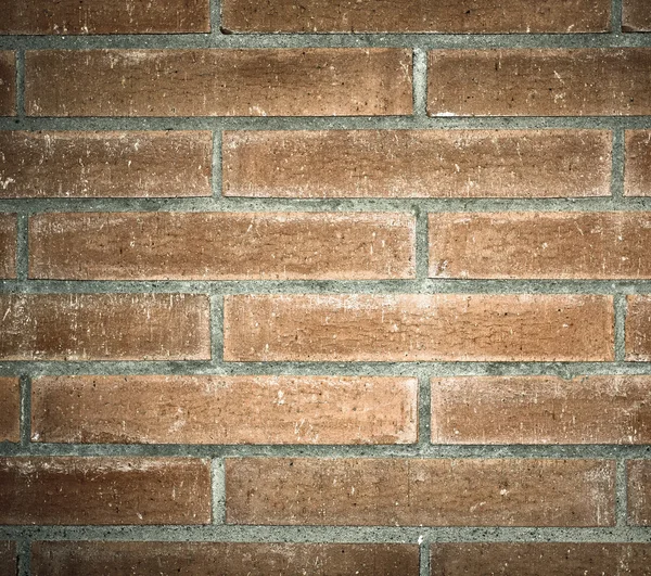 Texture de mur de brique grunge — Photo