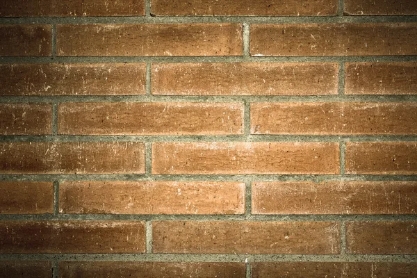 Grunge cihlové zdi textury — Stock fotografie