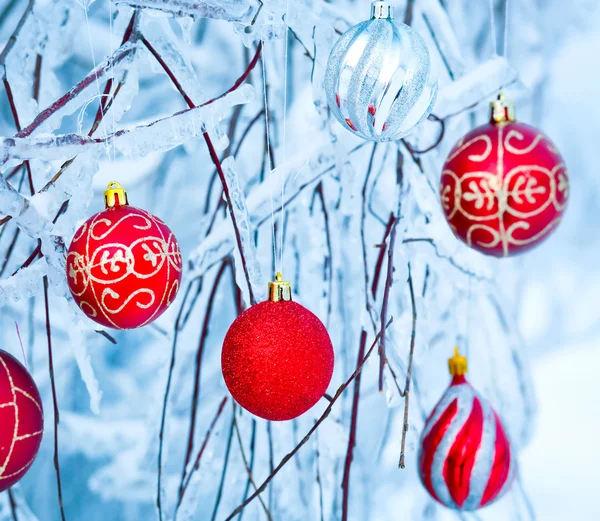 Hermosas bolas rojas de Navidad sobre ramas nevadas —  Fotos de Stock