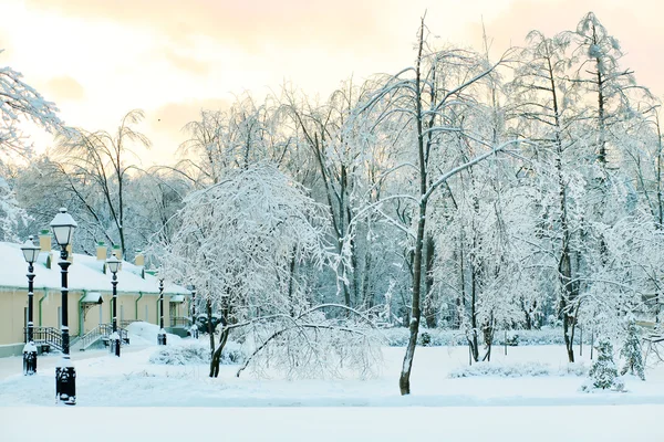 Piękny zimowy park leśny śnieżny — Zdjęcie stockowe
