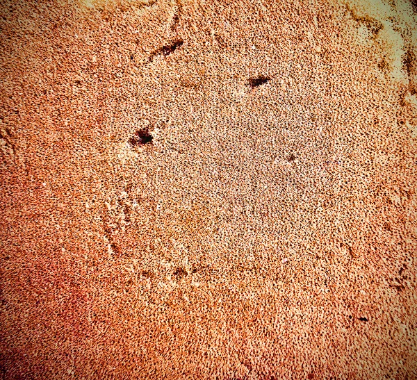 Background of rusty metal plate texture — Stock Photo, Image