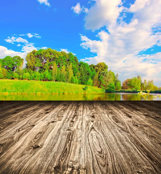 Light picturesque scene of beautiful rural lake in sunny summer — Stock Photo, Image