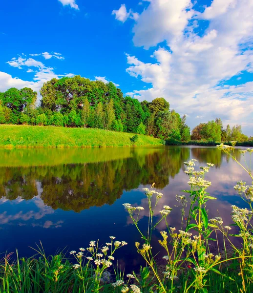 Pintoresca escena de hermoso lago rural — Foto de Stock