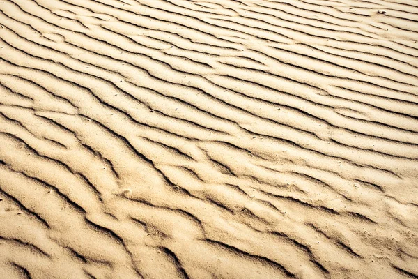 Puckered texture of sand beach — Stock Photo, Image