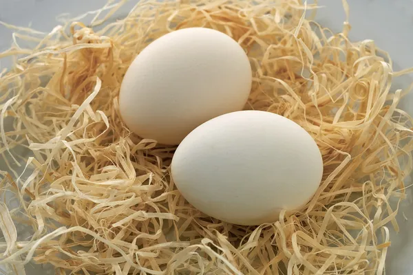 Eggs in the straw. — Stock Photo, Image