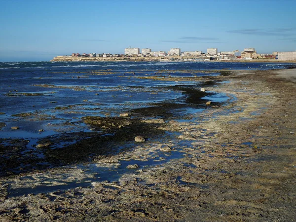 Bažinaté Pobřeží Kaspického Moře Špinavý Páchnoucí Mořský Břeh Kazachstán Oblast — Stock fotografie