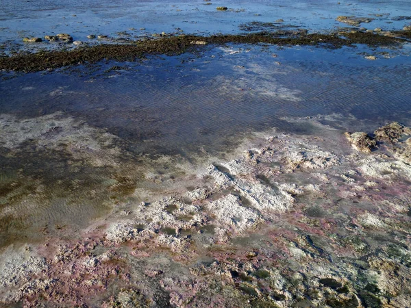 Översvämmad Strand Vid Kaspiska Havet Smutsiga Stinkande Havsstrand Kazakstan Mangistau — Stockfoto