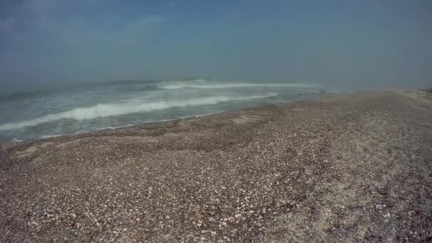 里海的贝壳海岸 哈萨克斯坦 曼吉斯图地区 2020年7月15日 — 图库视频影像