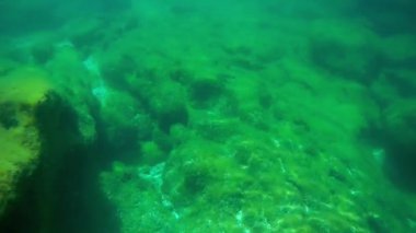 Denizde sualtı manzarası. Hazar Denizi. Haziran 2021 'de.