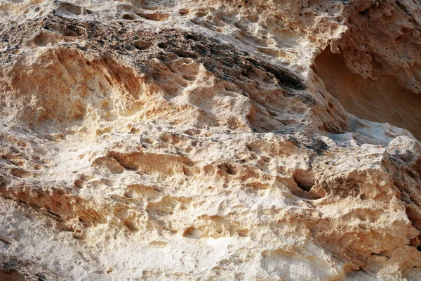 表面砂质岩石 里海的岩石海岸 — 图库照片