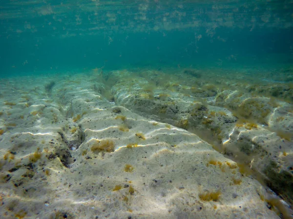 Unterwasserlandschaft Meer Kaspisches Meer Monat Mai Jahr 2021 — Stockfoto