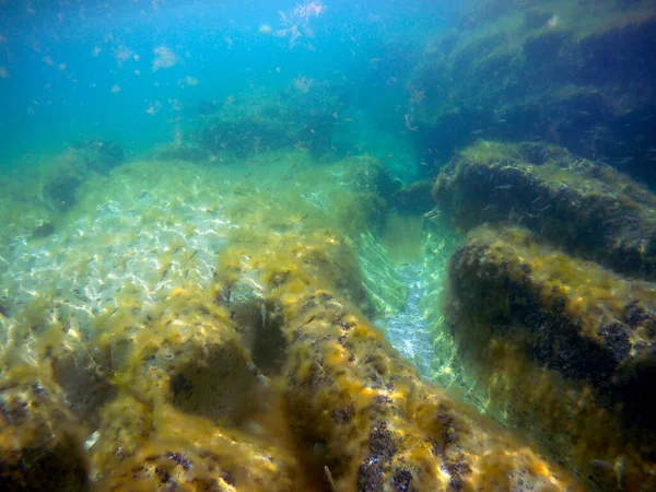 Podwodny Krajobraz Morzu Morze Kaspijskie Miesiąc Czerwca 2021 — Zdjęcie stockowe