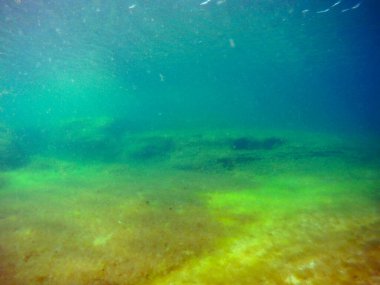 Denizde sualtı manzarası. Hazar Denizi. Haziran 2021 'de.