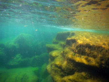 Denizde sualtı manzarası. Hazar Denizi. Haziran 2021 'de.