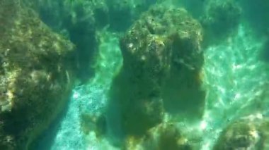 Suyun altında bir şişe şarap. Hazar Denizi. Haziranda. Suyun altında. 17 Haziran 2022.