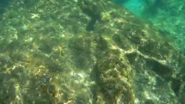 Bottle Wine Underwater Caspian Sea Month June Water June 2022 — Video Stock