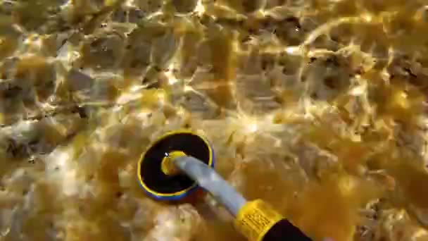 Detector Metais Subaquático Busca Subaquática Mar Cáspio Mês Junho Debaixo — Vídeo de Stock