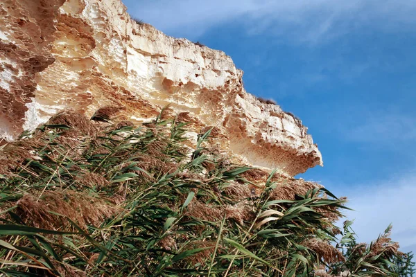 Felsen Ufer Des Kaspischen Meeres — Stockfoto