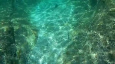 Suyun altında bir şişe şarap. Hazar Denizi. Haziranda. Suyun altında. 17 Haziran 2022.