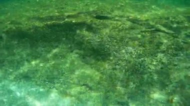 Suyun altında bir şişe şarap. Hazar Denizi. Haziranda. Suyun altında. 17 Haziran 2022.