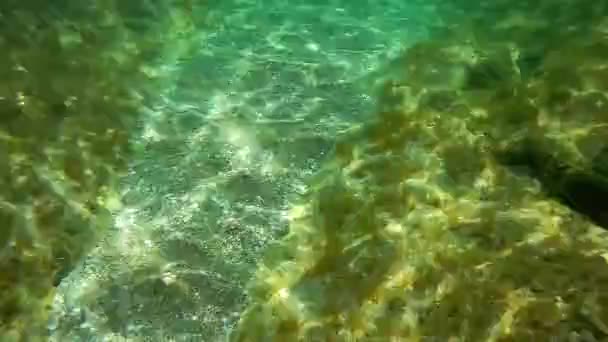 Butelka Wina Pod Wodą Morze Kaspijskie Miesiąc Czerwiec Pod Wodą — Wideo stockowe