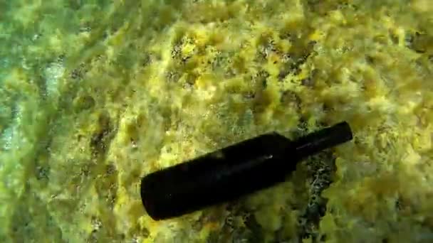 水底的酒瓶里海 六月的月份 在水下2022年6月17日 — 图库视频影像
