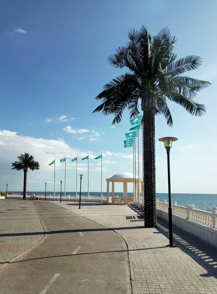 Искусственные пальмы на набережной. Казахстан. Мангистауская область. Город Актау. 13 сентября 2019 года.