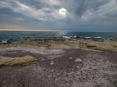 Hazar Denizi 'nin deniz kabuğu. Kazakistan. Mangistau bölgesi. 05 Ağustos 2020.