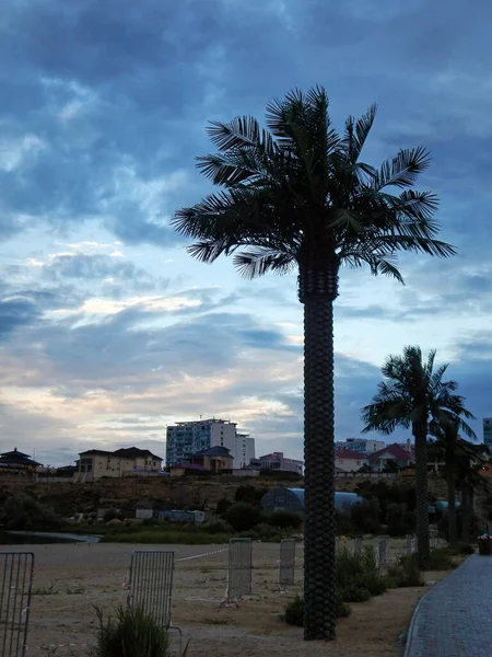 Spiaggia Stata Messa Quarantena Aktau City Kazakistan Regione Mangistau Agosto — Foto Stock