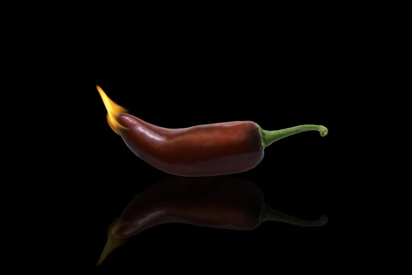 Chilli hoří — Stock fotografie