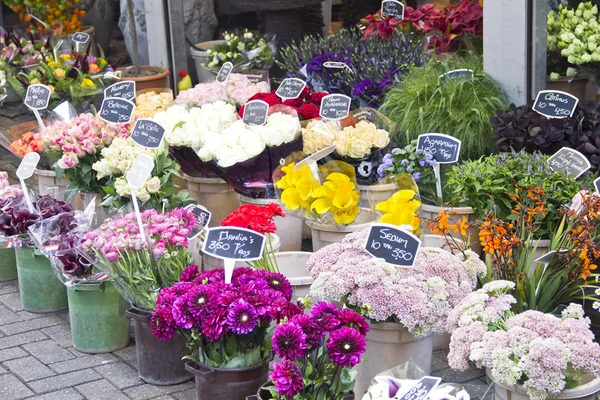 Amsterdam çiçek pazarı