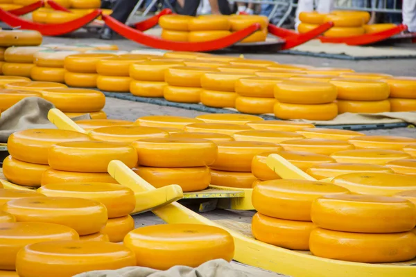 Kaas in alkmaar, Nederland — Stockfoto