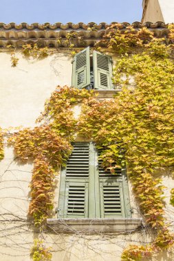 pencere tam yapraklar