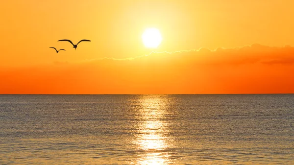 günbatımı okyanus üzerinde