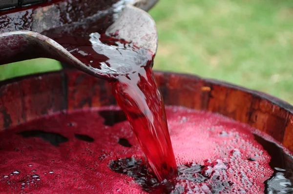 Making wine — Stock Photo, Image