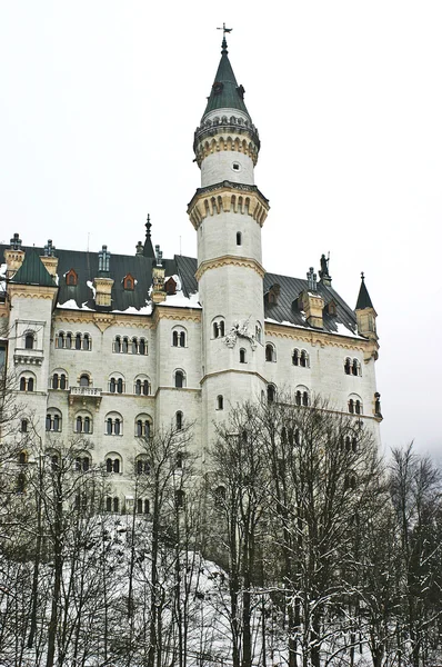 Neuschwanstein castle during the winter — Stock Photo, Image