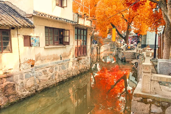 Luzhi, 중국의 물 마 — 스톡 사진