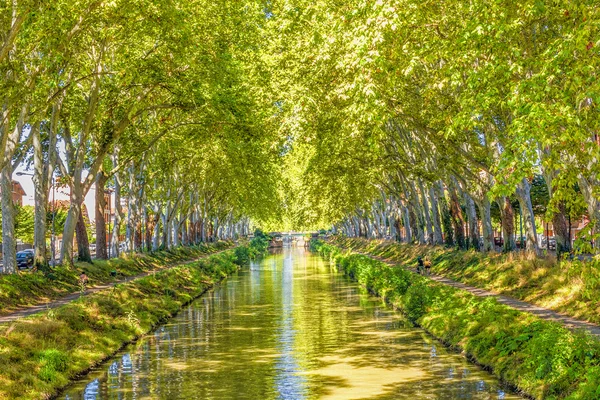 Canal du midi, Fransa
