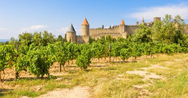 Panoramic view of Carcassonne, France clipart