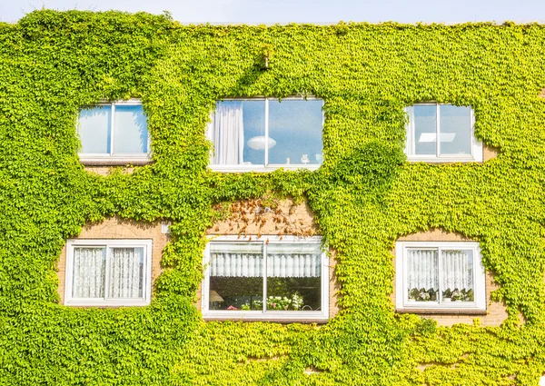 Ekologisk byggnad med väggen full av växter — Stockfoto