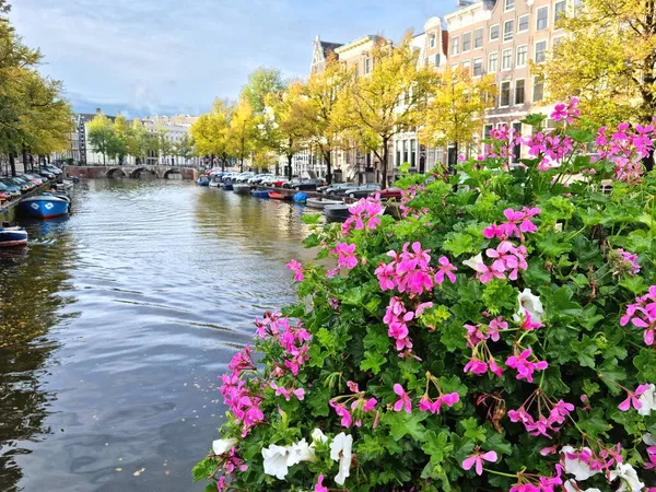 Λουλούδια Ένα Κανάλι Του Άμστερνταμ — Φωτογραφία Αρχείου