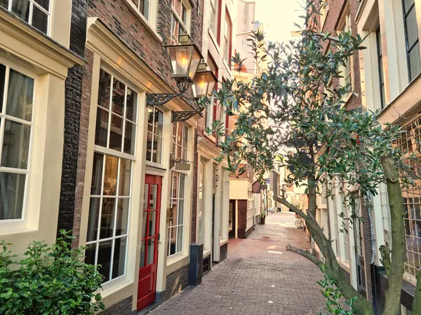 네덜란드 암스테르담의한 가운데있는 — 스톡 사진