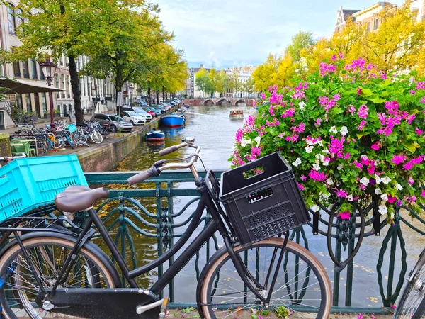Bicycle Bridge Amsterdam Netherlands — Stock Photo, Image
