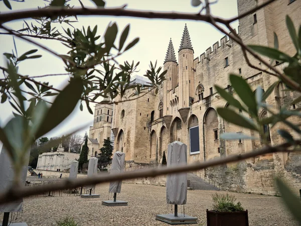 Palace Papes Palais Des Papes Avignon France — стоковое фото