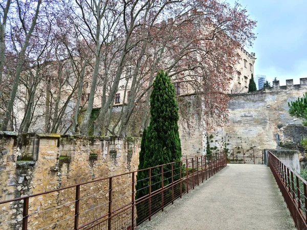 Veduta Del Ponte Avignone Sud Della Francia — Foto Stock