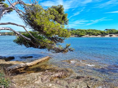 Fransa 'nın güneyindeki Embiez Adası manzarası