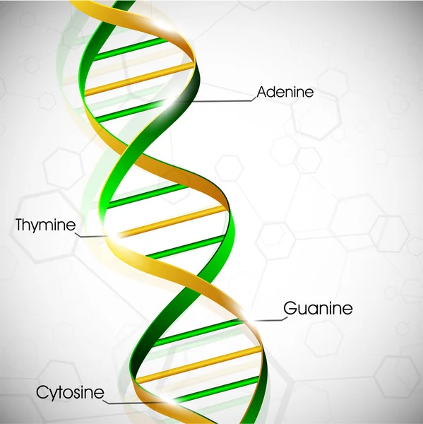 Abstrakte medizinische Hintergrund mit bunten dna. Folge 10. — Stockvektor