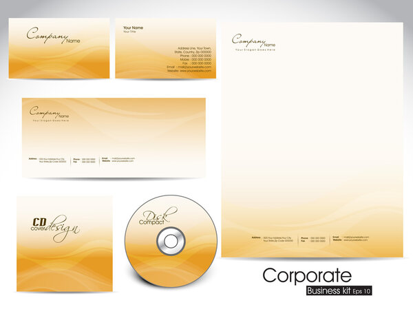 Professional corporate identity kit or business kit for your bus