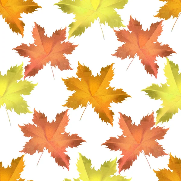 秋のシームレスな背景を葉します。. — ストックベクタ