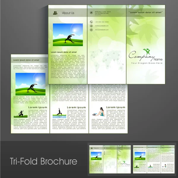 Professionele Business drie-voudige flyer sjabloon, corporate brochure of cover ontwerp, kan worden gebruikt voor publicatie, afdrukken en presentatie. — Stockvector